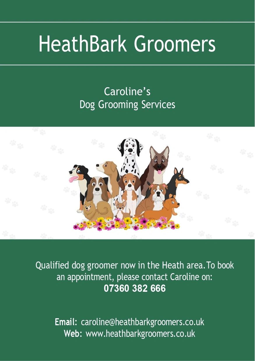 Puppy grooming clearance services